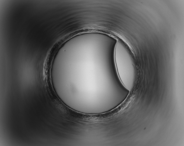 X0000088060971200705110910