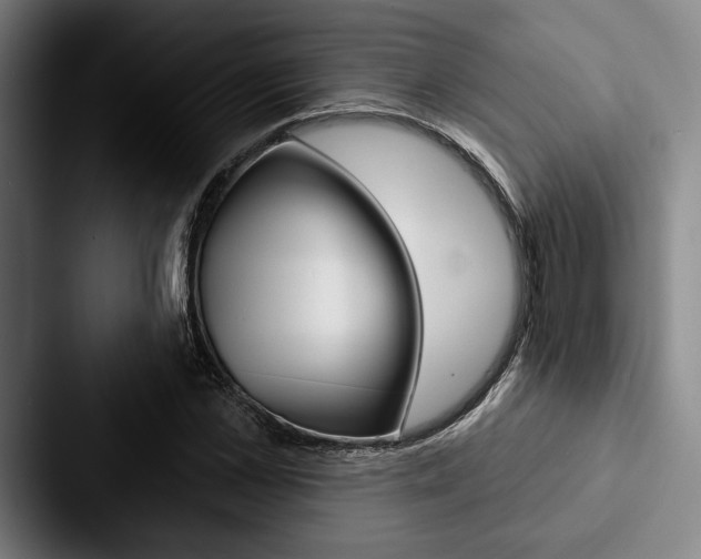 X0000088060973200705110910