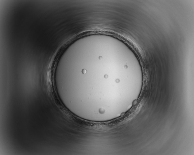 X0000088060974200705110910