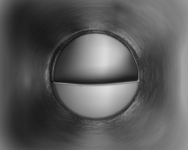 X0000088060975200705110910