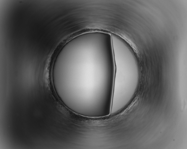 X0000088060976200705110910