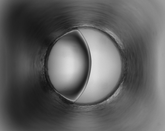 X0000088060977200705110910