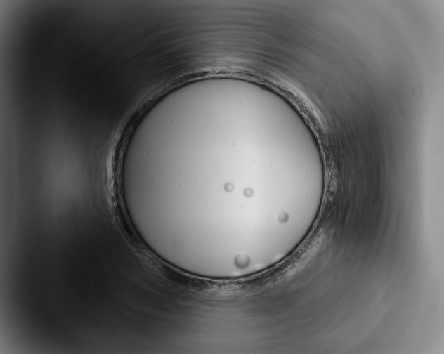 X0000088060978200705110910