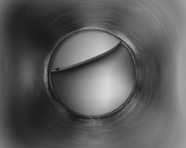 X0000088060980200705110910