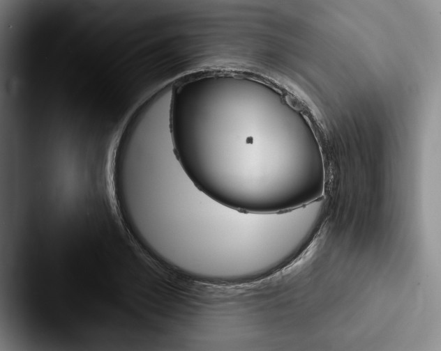 X0000088060981200705110910