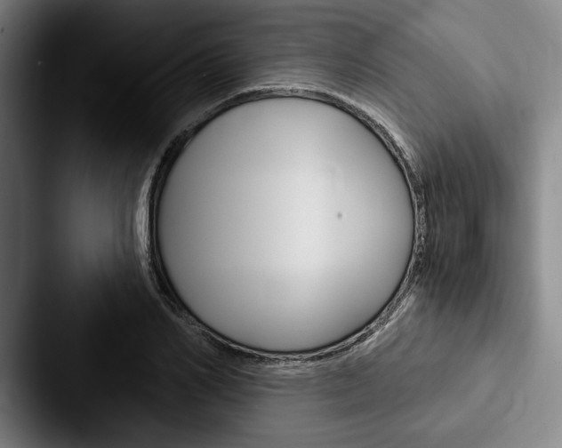 X0000088060982200705110910