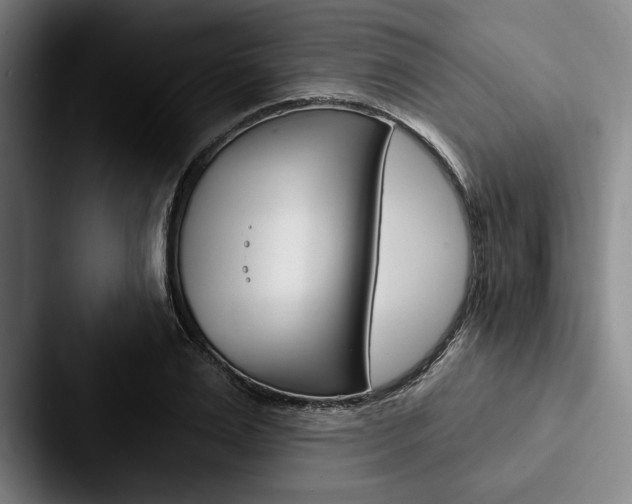 X0000088060983200705110910