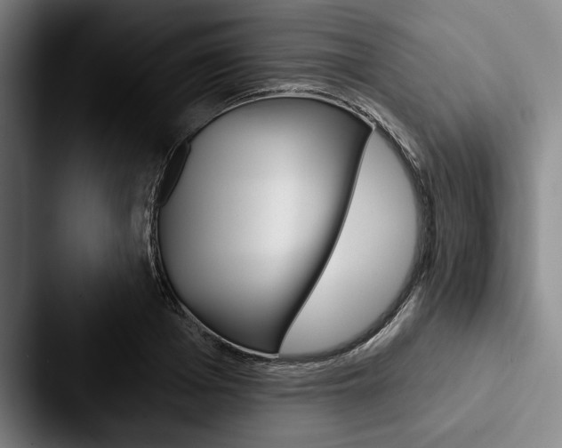 X0000088060985200705110910