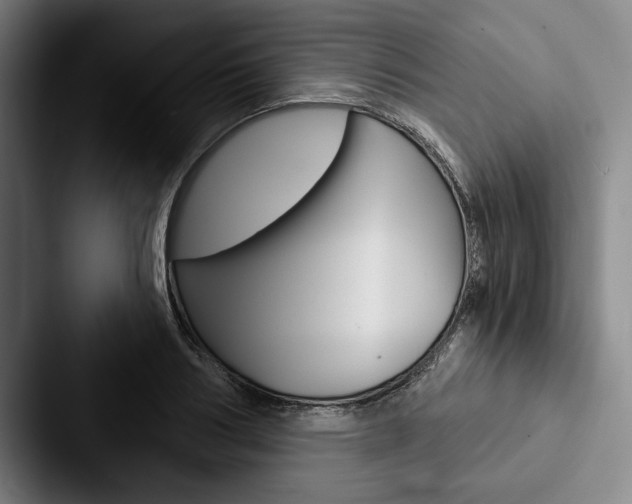 X0000088060986200705110910