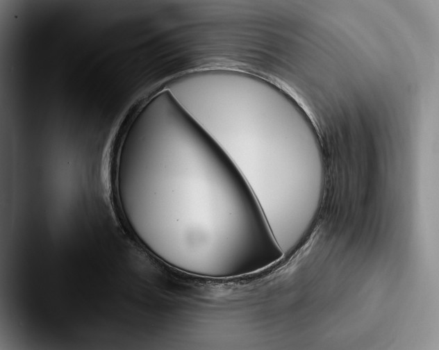 X0000088060987200705110910