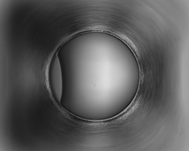 X0000088060989200705110910