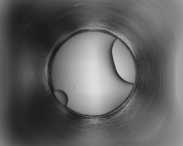 X0000088060990200705110910
