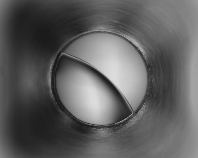 X0000088060991200705110910