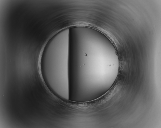 X0000088060995200705110910