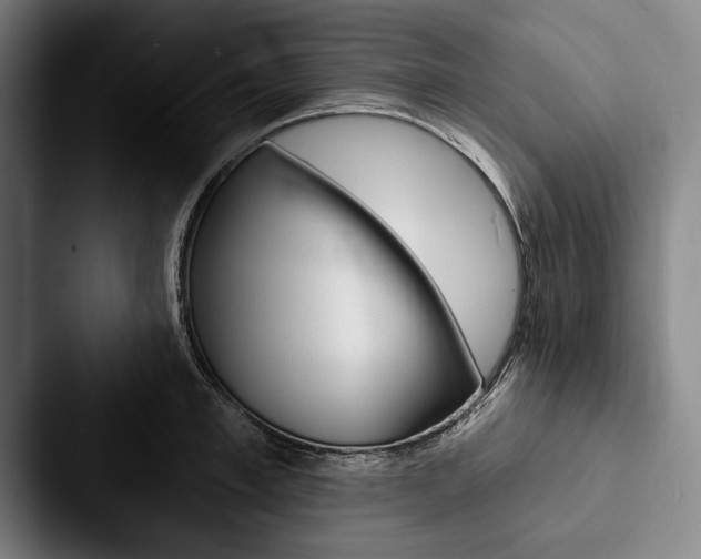 X0000088060997200705110910