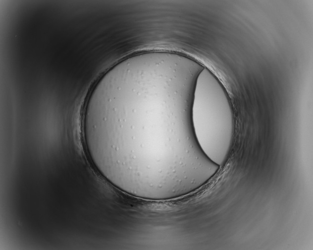 X0000088060998200705110910