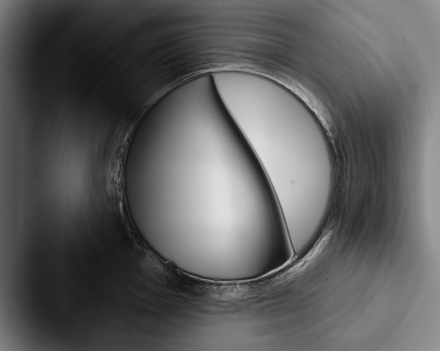 X0000088061001200705110910