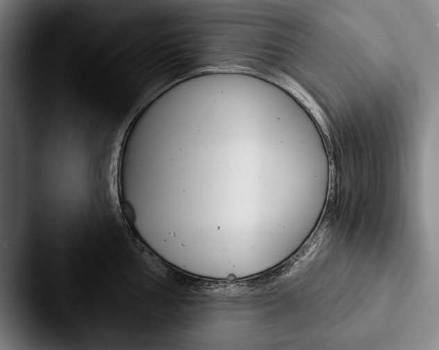 X0000088061002200705110910