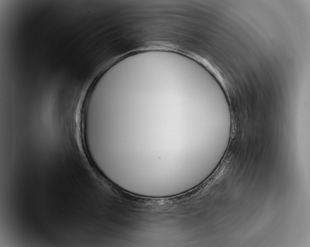 X0000088061003200705110910