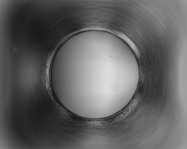 X0000088061004200705110910