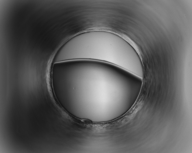 X0000088061005200705110910