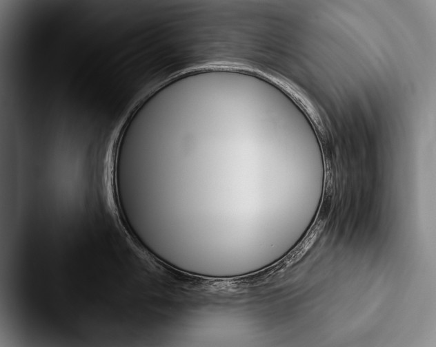 X0000088061006200705110910