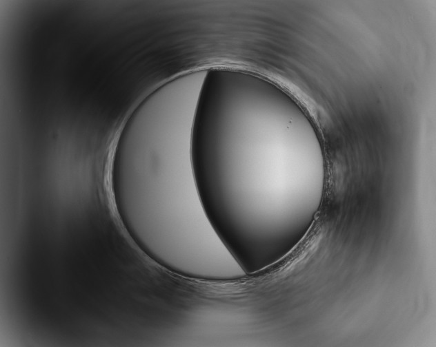 X0000088061007200705110910