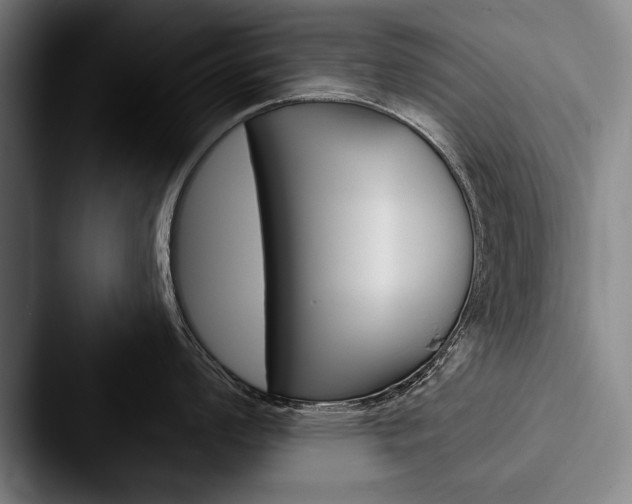 X0000088061008200705110910
