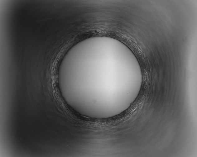 X0000088061009200705110909