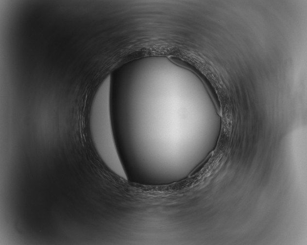 X0000088061010200705110909