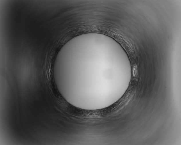 X0000088061011200705110909