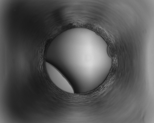 X0000088061012200705110909