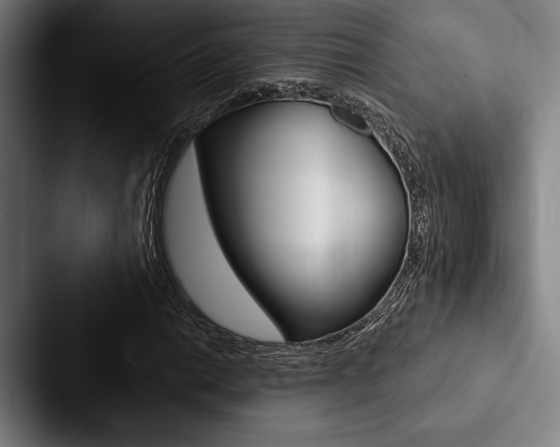 X0000088061014200705110909