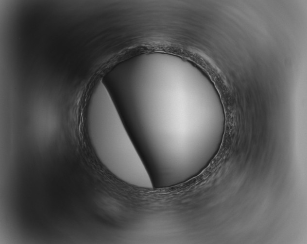 X0000088061016200705110909