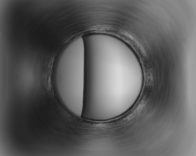 X0000088061017200705110909