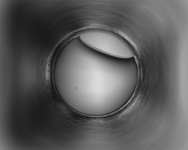 X0000088061021200705110909