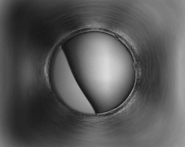 X0000088061022200705110909