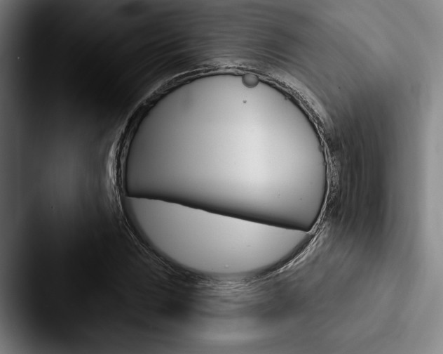 X0000088061023200705110909