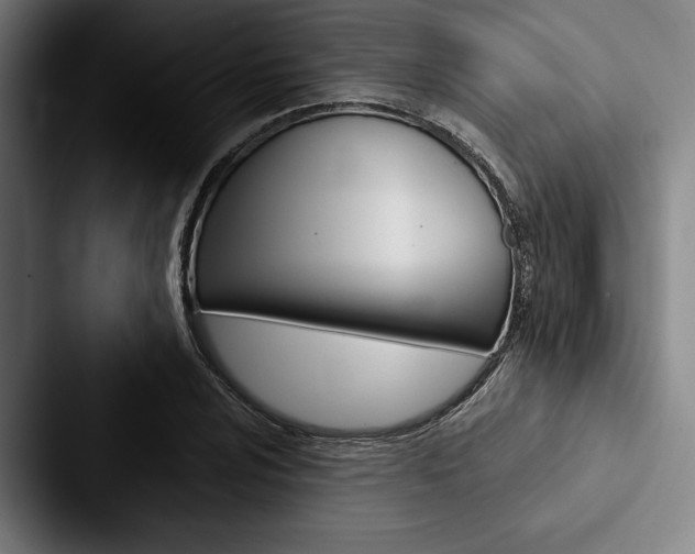 X0000088061024200705110909