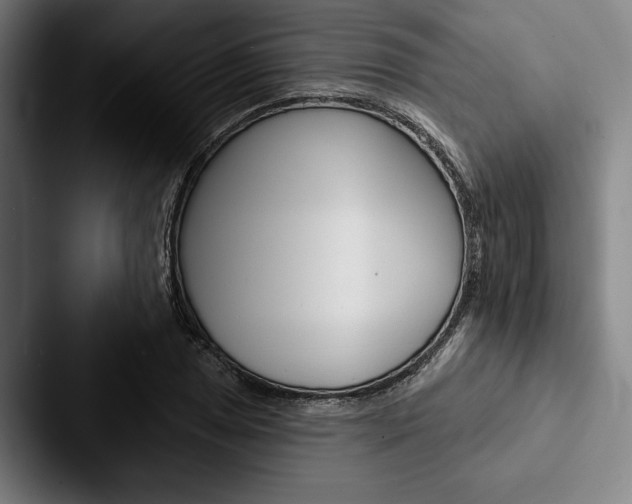 X0000088061025200705110909