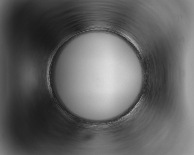 X0000088061026200705110909