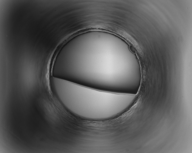 X0000088061028200705110909
