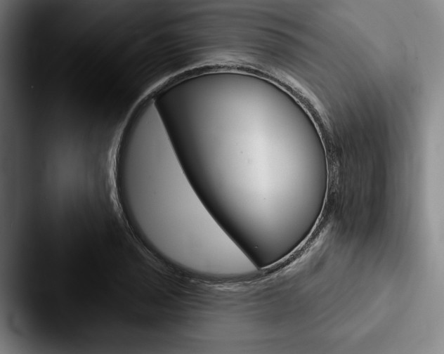 X0000088061029200705110909