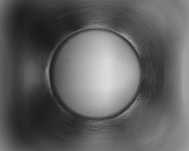 X0000088061030200705110909