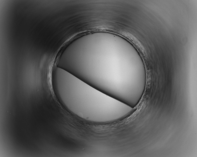 X0000088061031200705110909