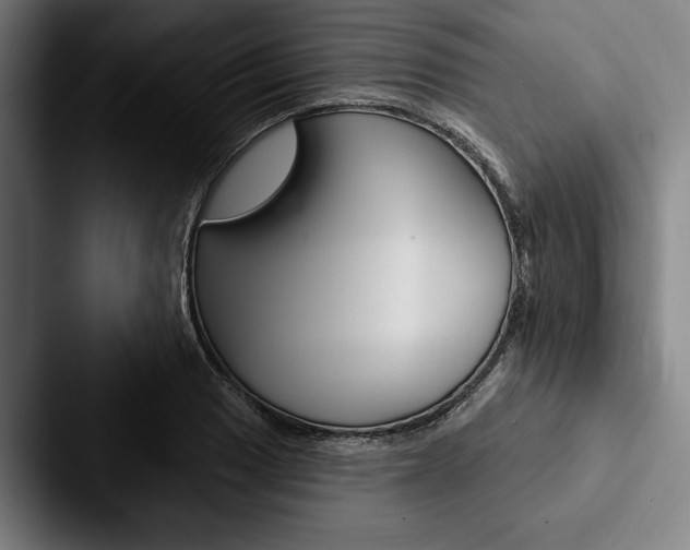 X0000088061033200705110909