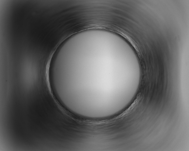 X0000088061034200705110909