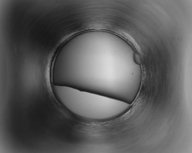 X0000088061035200705110909