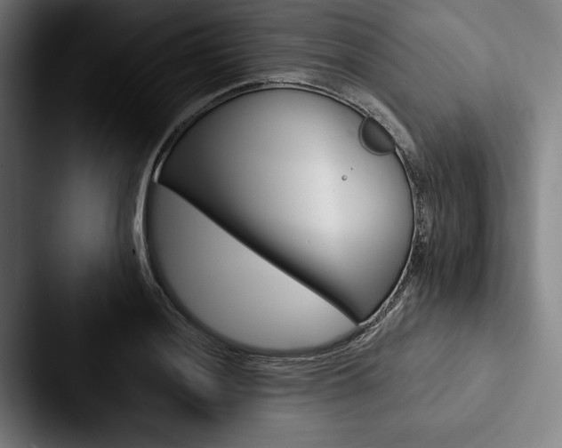 X0000088061036200705110909