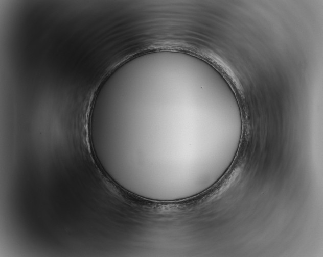 X0000088061041200705110910
